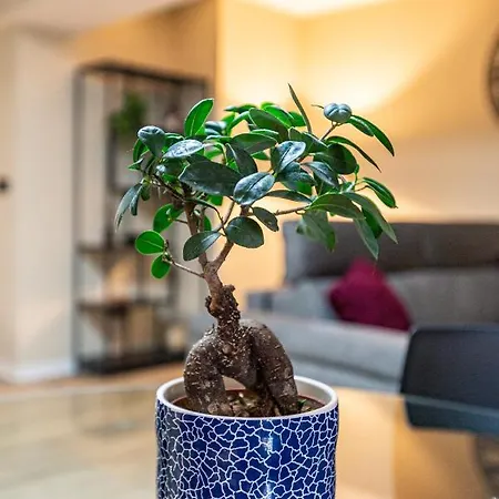 Prázdninový dům Peaceful, Comfy 1br Nature Retreat: Serene Bliss By 360 Estates