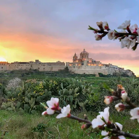Peaceful, Comfy 1br Nature Retreat: Serene Bliss By 360 Estates Prázdninový dům L-Imgarr