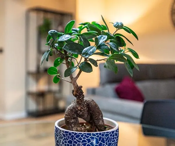 Holiday home Peaceful, Comfy 1br Nature Retreat: Serene Bliss By 360 Estates